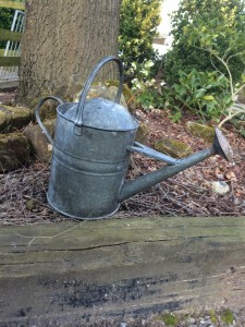 Metal watering can with brass rose