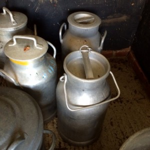 Selection of milk churns. Many have names of dairies on them